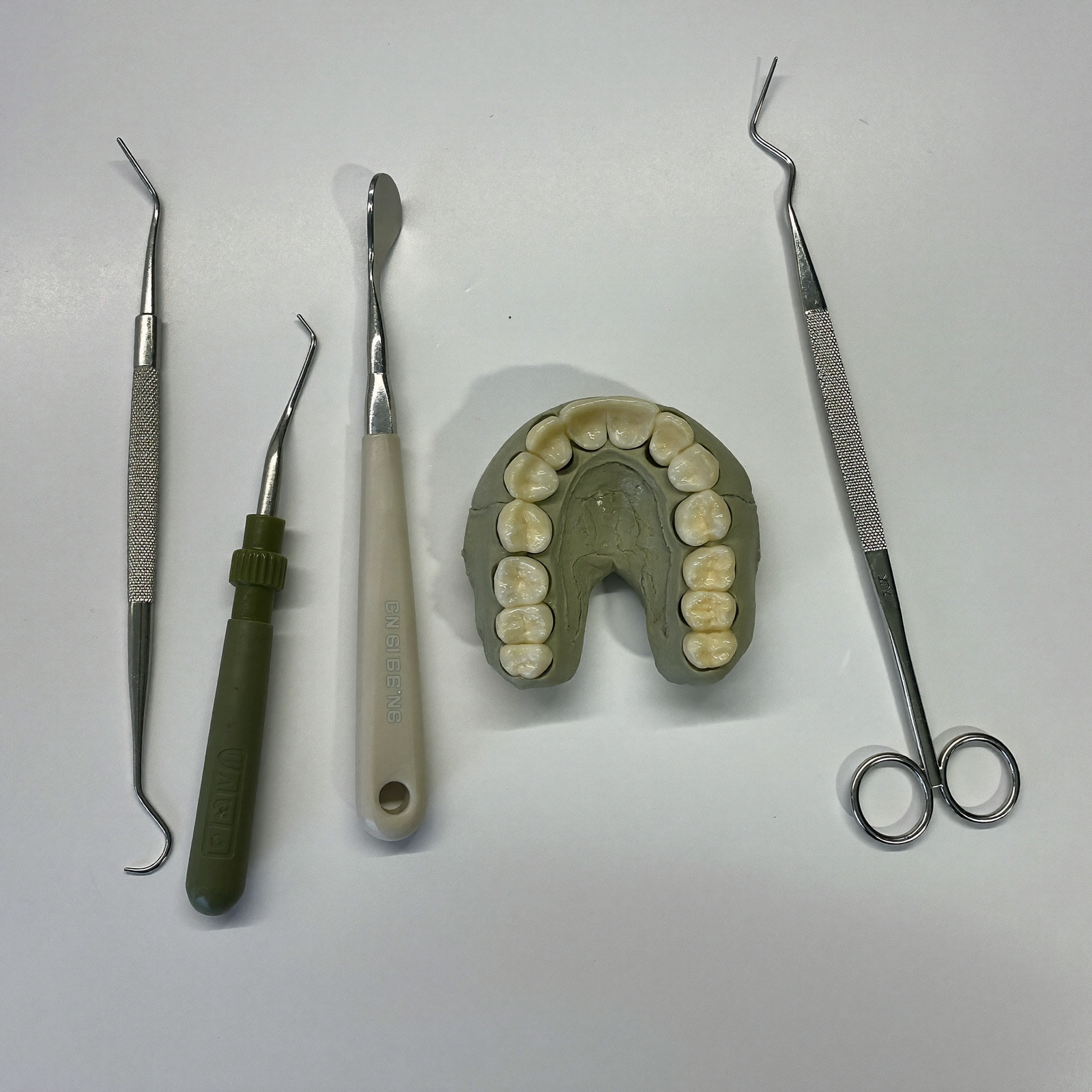 Restorative & Surgical